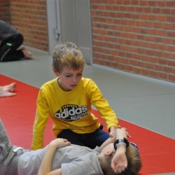 DSC 0276  Small - Judoclub Zaventem 