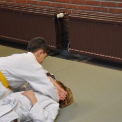 DSC 0280  Small - Judoclub Zaventem 