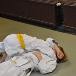 DSC 0281  Small - Judoclub Zaventem 