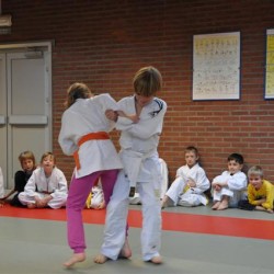 DSC 0341  Small - Judoclub Zaventem 