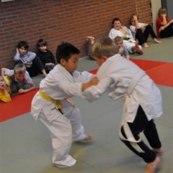 DSC 0347  Small - Judoclub Zaventem 