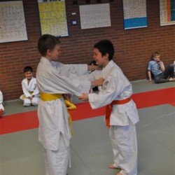 DSC 0350  Small - Judoclub Zaventem 