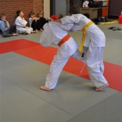 DSC 0351  Small - Judoclub Zaventem 