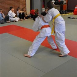 DSC 0352  Small - Judoclub Zaventem 