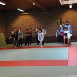 DSC 0005  Medium - Judoclub Zaventem 