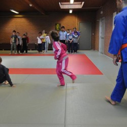 DSC 0007  Medium - Judoclub Zaventem 