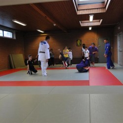 DSC 0011  Medium - Judoclub Zaventem 