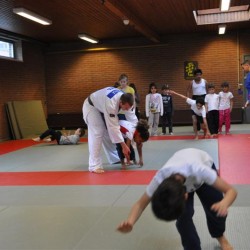 DSC 0012  Medium - Judoclub Zaventem 