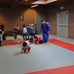 DSC 0051  Medium - Judoclub Zaventem 