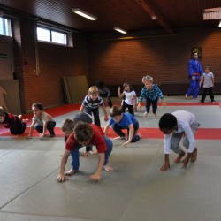 DSC 0060  Medium - Judoclub Zaventem 