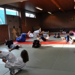 DSC 0065  Medium - Judoclub Zaventem 