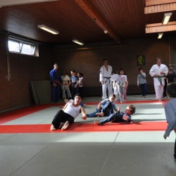 DSC 0071  Medium - Judoclub Zaventem 