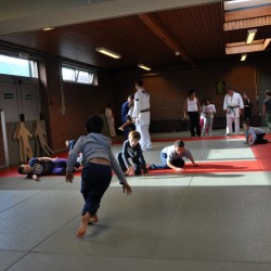 DSC 0073  Medium - Judoclub Zaventem 