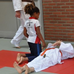 DSC 0090  Medium - Judoclub Zaventem 