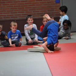 DSC 0107  Medium - Judoclub Zaventem 