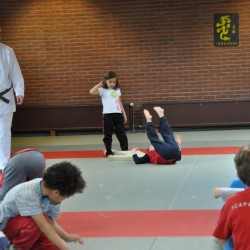 DSC 0111  Medium - Judoclub Zaventem 
