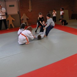 DSC 0174  Medium - Judoclub Zaventem 