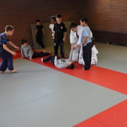 DSC 0178  Medium - Judoclub Zaventem 