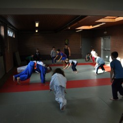 DSC 0199  Medium - Judoclub Zaventem 