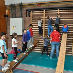 DSC 0203  Medium - Judoclub Zaventem 