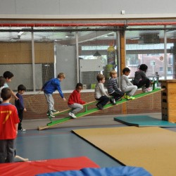 DSC 0230  Medium - Judoclub Zaventem 
