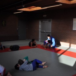 DSC 0236  Medium - Judoclub Zaventem 