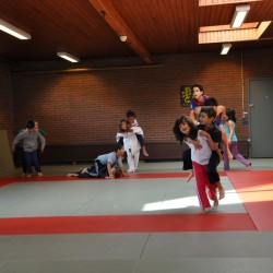 DSC 0248  Medium - Judoclub Zaventem 