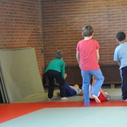 DSC 0250  Medium - Judoclub Zaventem 