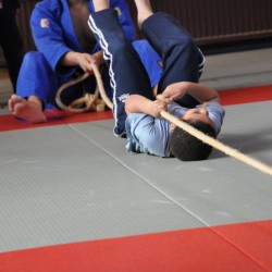 DSC 0263  Medium - Judoclub Zaventem 