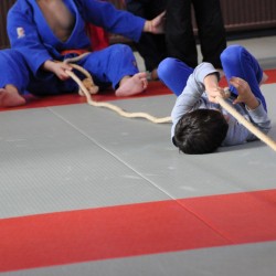 DSC 0268  Medium - Judoclub Zaventem 