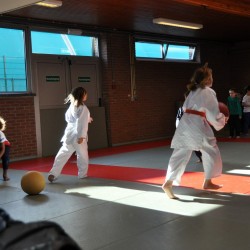 DSC 0349  Medium - Judoclub Zaventem 