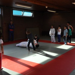 DSC 0411  Medium - Judoclub Zaventem 