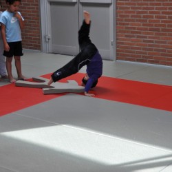 DSC 0436  Medium - Judoclub Zaventem 