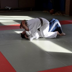 DSC 0450  Medium - Judoclub Zaventem 