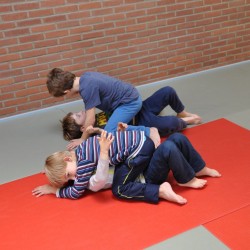 DSC 0454  Medium - Judoclub Zaventem 