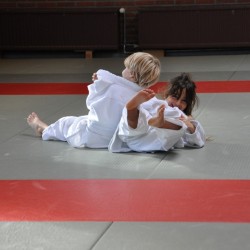 DSC 0462  Medium - Judoclub Zaventem 