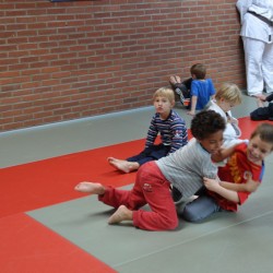 DSC 0469  Medium - Judoclub Zaventem 