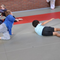 DSC 0474  Medium - Judoclub Zaventem 