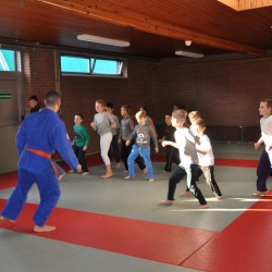 DSC 0501  Medium - Judoclub Zaventem 