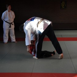 DSC 0558  Medium - Judoclub Zaventem 