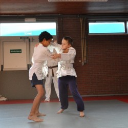 DSC 0612  Medium - Judoclub Zaventem 