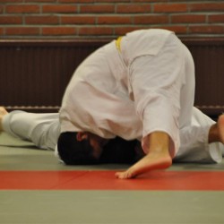DSC 0005  Medium - Judoclub Zaventem 