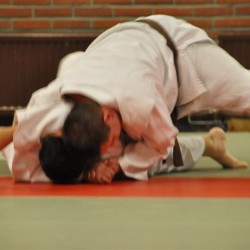 DSC 0006  Medium - Judoclub Zaventem 
