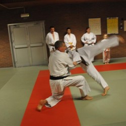 DSC 0017  Medium - Judoclub Zaventem 