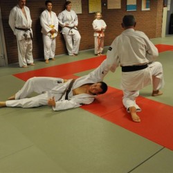 DSC 0018  Medium - Judoclub Zaventem 