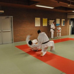 DSC 0024  Medium - Judoclub Zaventem 