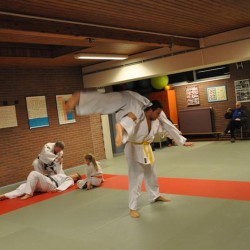 DSC 0038  Medium - Judoclub Zaventem 