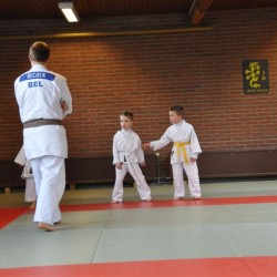 DSC 0193  Medium - Judoclub Zaventem 