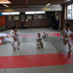 DSC 0198  Medium - Judoclub Zaventem 