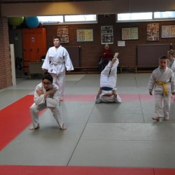 DSC 0199  Medium - Judoclub Zaventem 
